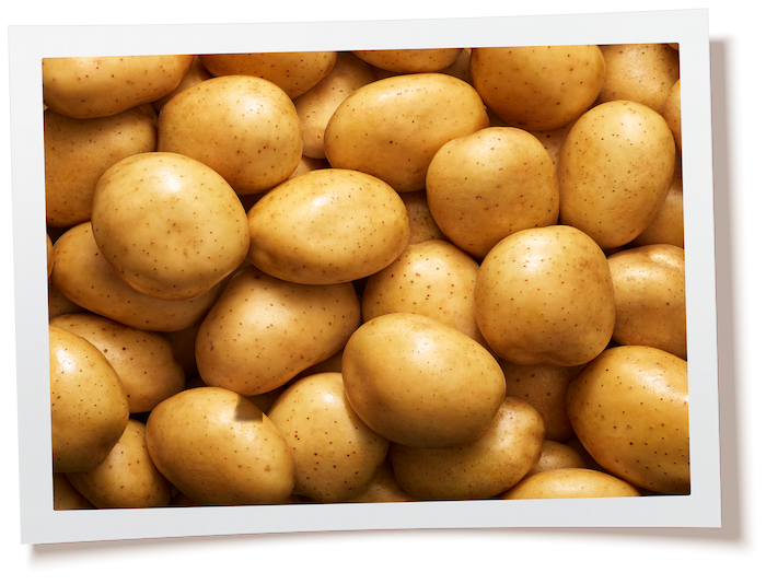 LAYS_FR_WEB BG-01.png