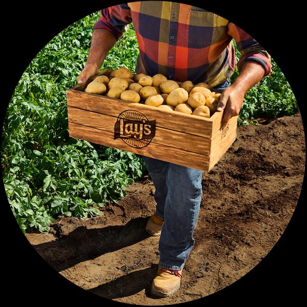 LAYS_FR_WEB BG-03.jpg